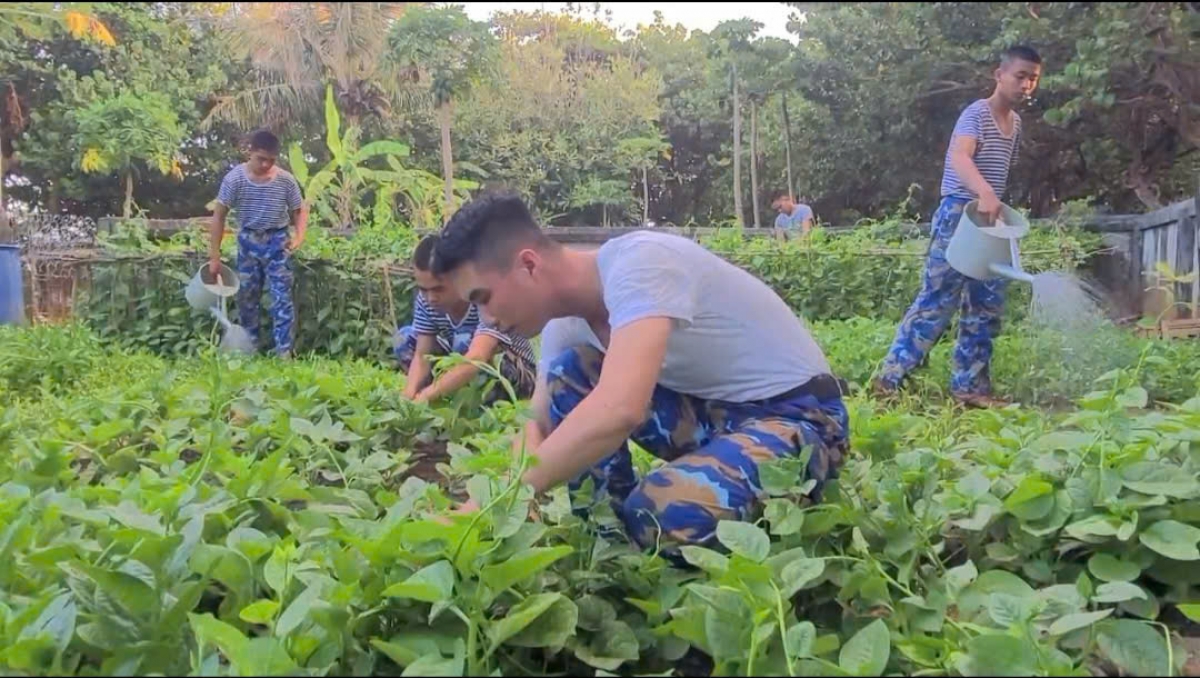 Vườn rau xanh tươi được cán bộ, chiến sĩ đảo Trường Sa chăm sóc, vun xới hằng ngày