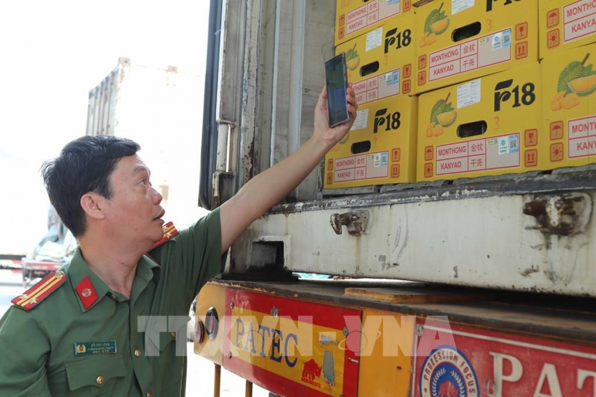 Lãnh đạo Trung tâm Tem và Vật liệu chống giả, Bộ Công an tra cứu thông tin sầu riêng qua mã QR code.