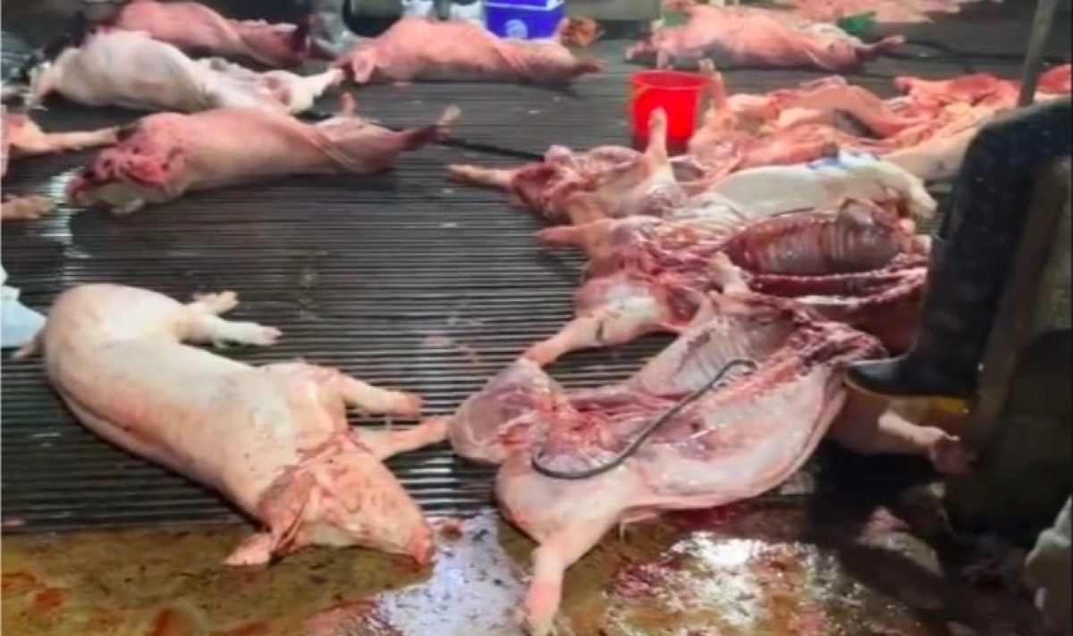 Bên trong lò mổ, nơi bị công an phát hiện. Ảnh:Công an Hà Nội