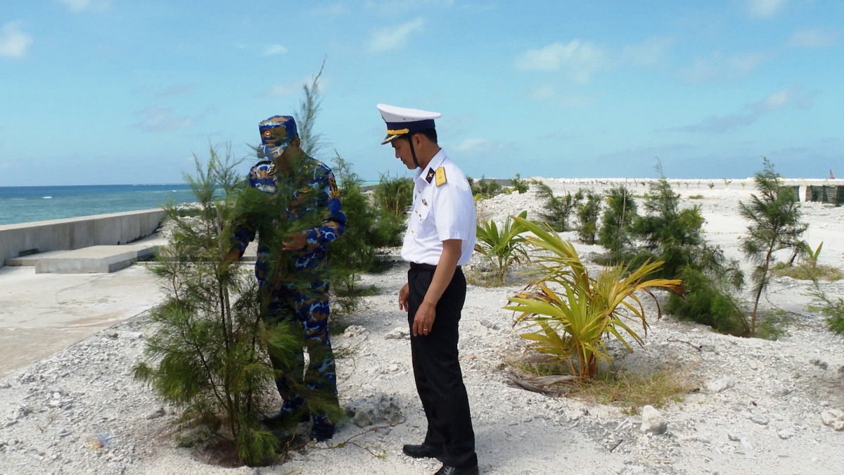Trồng cây xanh trên các đảo ở Trường Sa