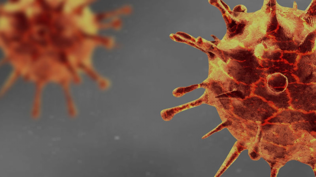 Ảnh minh họa - Nguồn Reuters