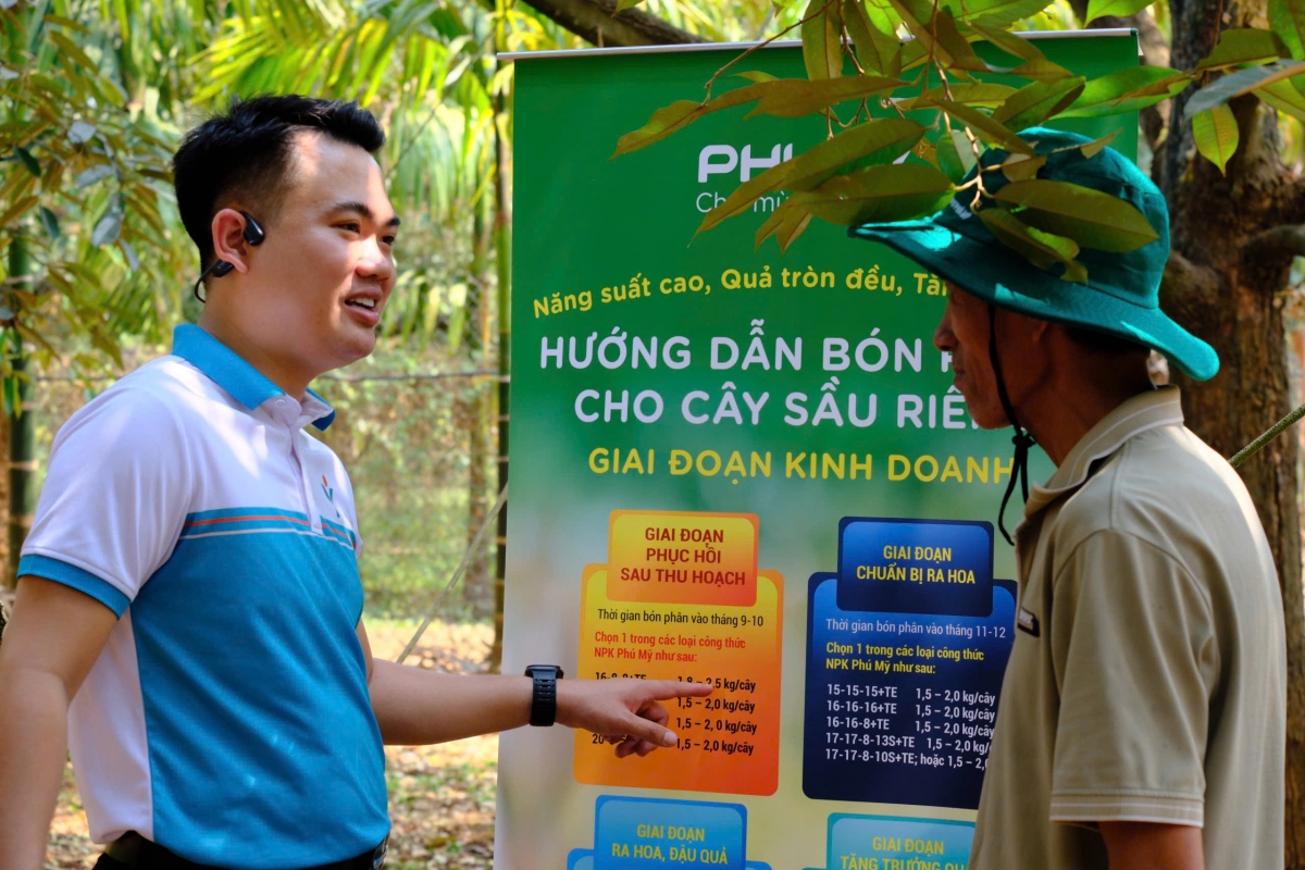 Chuyên gia nông nghiệp Phú Mỹ hướng dẫn người nông dân bón phân đúng, đủ trên cây sầu riêng
​​​