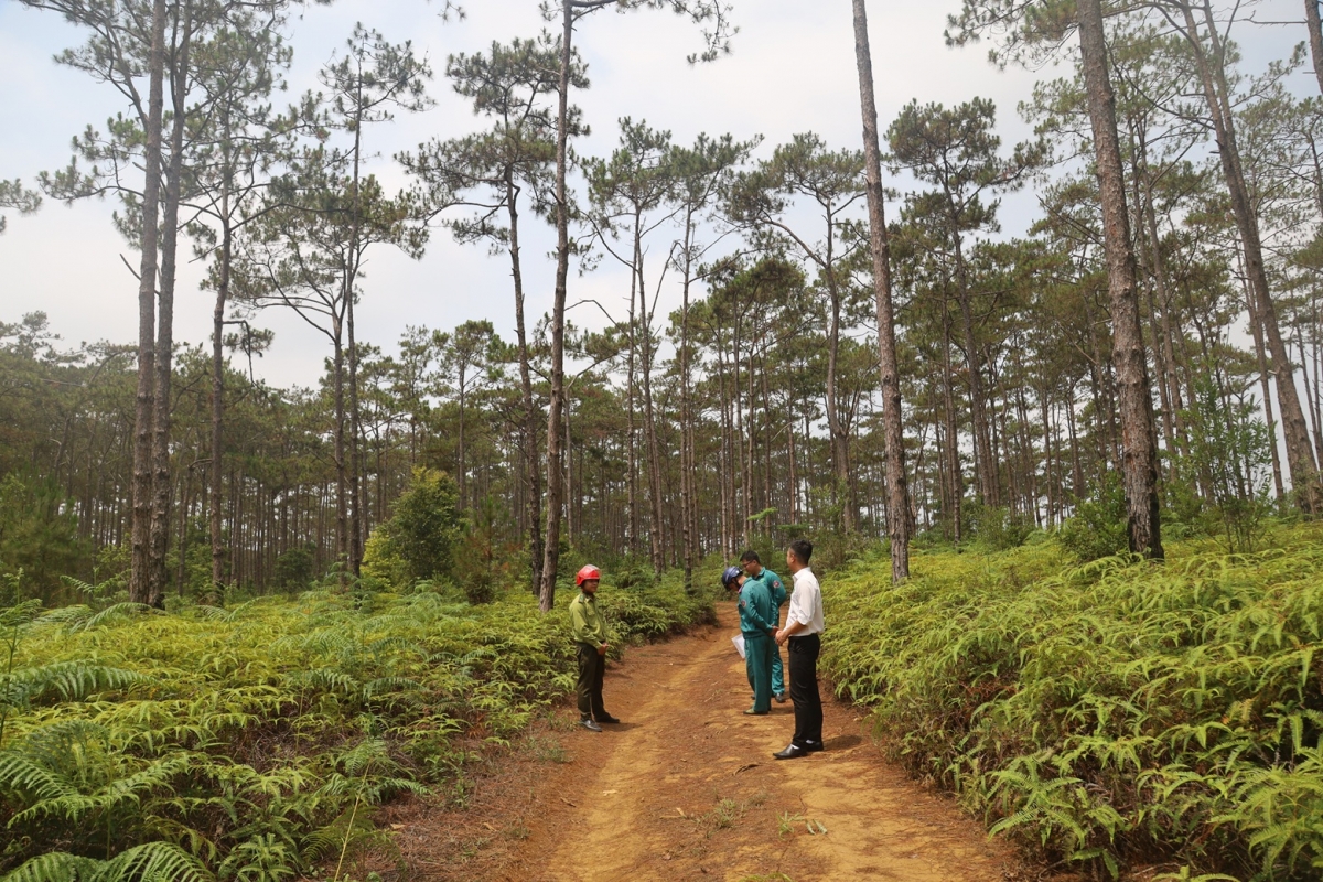 Khu vực thực hiện dự án Khu đô thị số 1 tại xã Măng Đen.