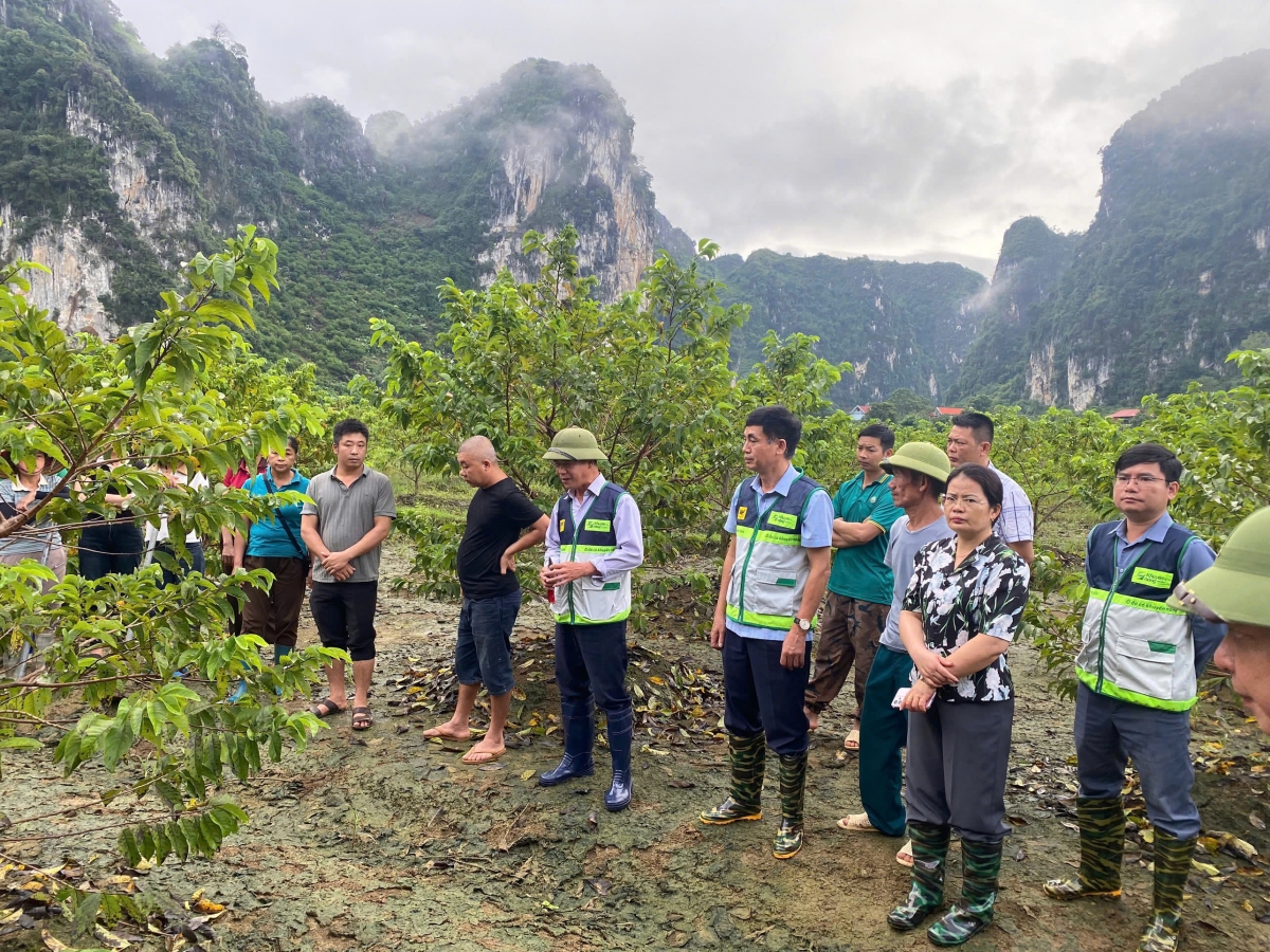 Ông Hoàng Văn Hồng – Phó Giám đốc Trung tâm Khuyến nông Quốc gia, cùng các chuyên gia trực tiếp thăm vườn và hướng dẫn bà con nông dân kỹ thuật canh tác bền vững. 