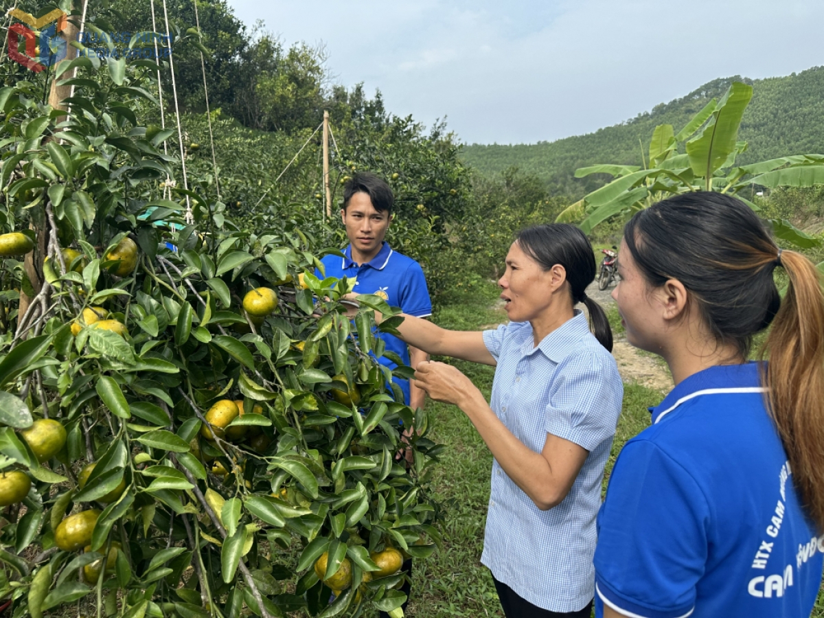 Vốn tín dụng chính sách trở thành "điểm tựa" phát triển kinh tế