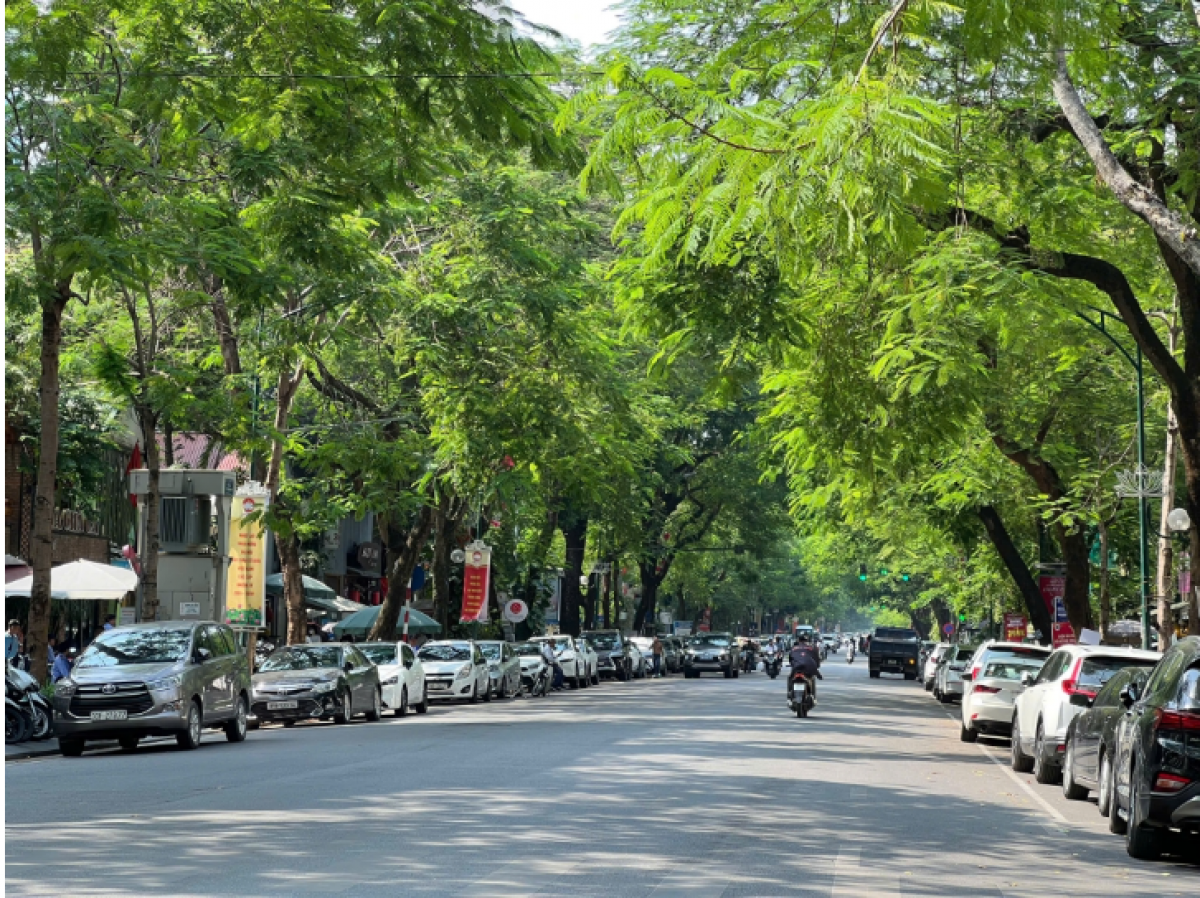 Bắc Bộ và Bắc Trung Bộ trở nên dịu mát, nắng xuất hiện với cường độ vừa phải.