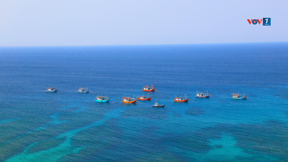 Ngư dân bám biển