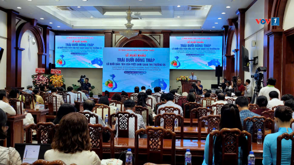 Các đại biểu dự lễ đưa lô trái bưởi da xanh đầu tiên của tỉnh Đồng Tháp xuất sang Úc