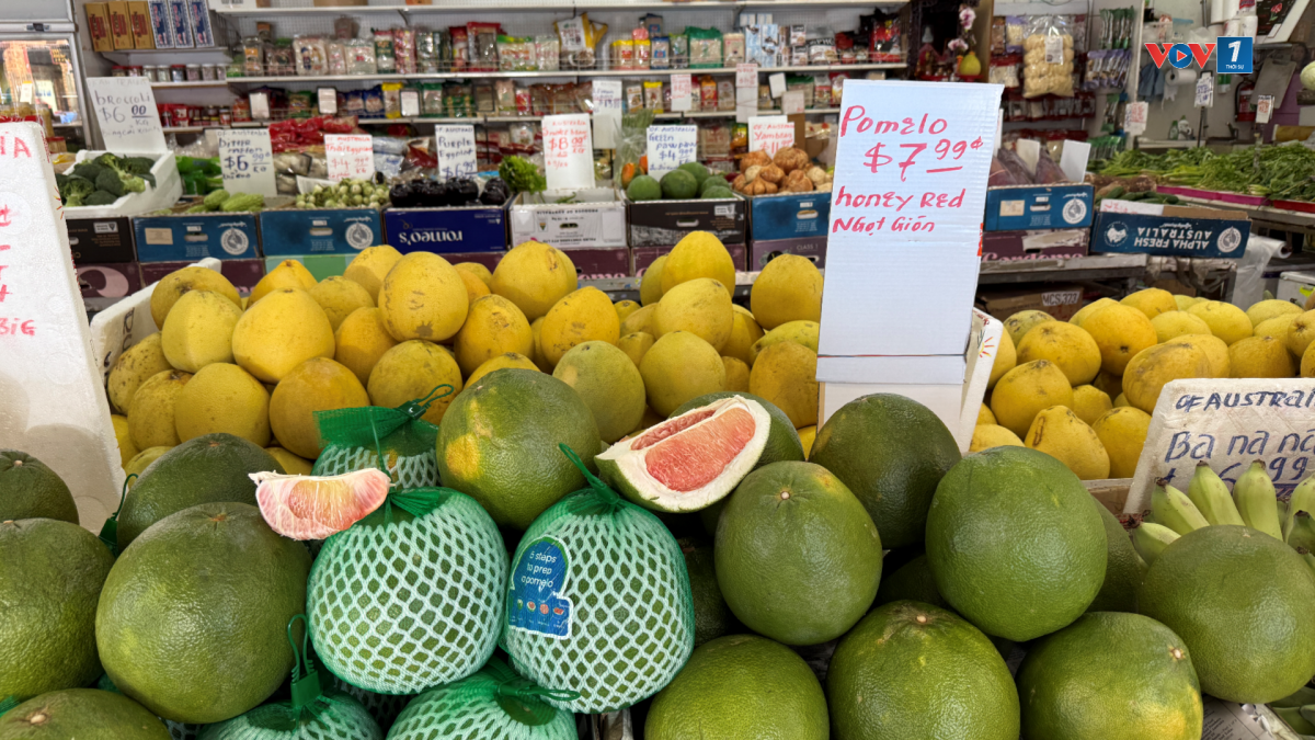 Quả bưởi da xanh Việt Nam được bày bán tại một cửa hàng rau quả ở Cabramatta. Nguồn: Tuấn Hưng/VOV Australia