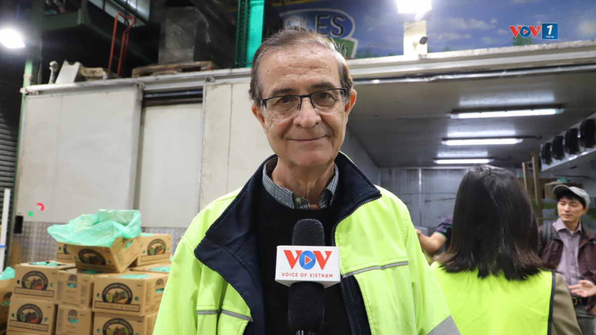 Ông Nick Basile, chủ của 7 cửa hàng bán rau quả tại thành phố Sydney. Nguồn: Việt Nga/VOV Australia