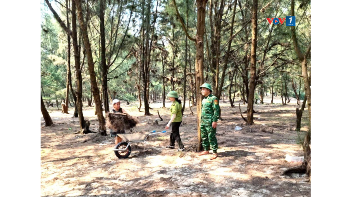 Dọn thảm thực bì dễ xảy ra cháy rừng