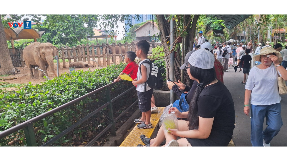 Nhiều gia đình đưa con đi Thảo Cầm Viên Sài Gòn trong dịp lễ này (Ảnh: Lệ Hằng)