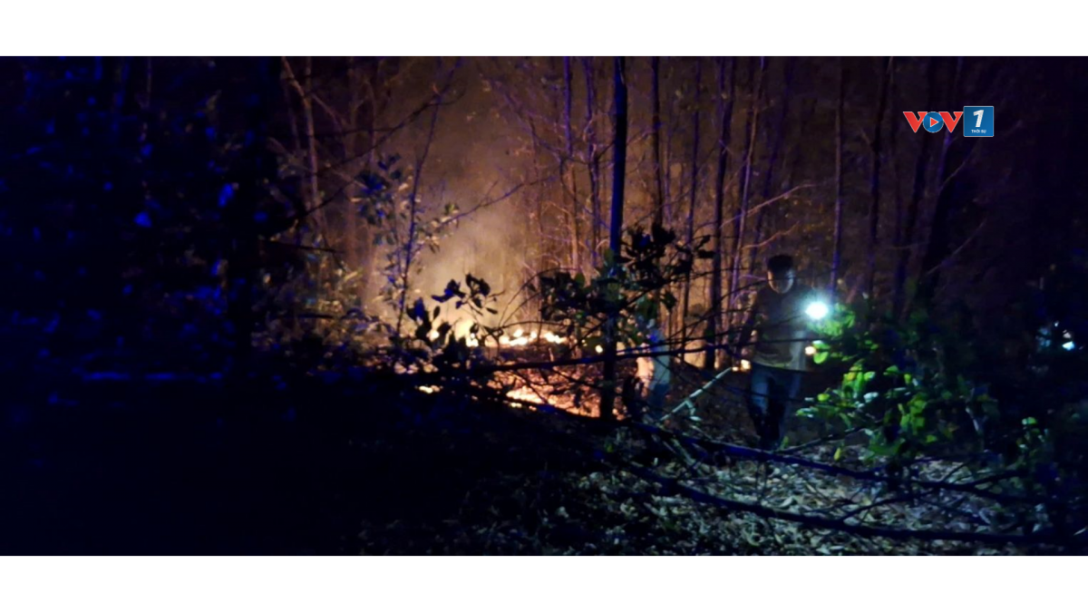 Từ đầu năm đến nay, tại thành phố Huế xảy ra 10 vụ cháy rừng