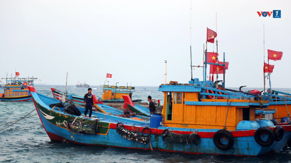 Cảng cá tấp nập, nơi bắt đầu và kết thúc mỗi chuyến vươn khơi bám biển