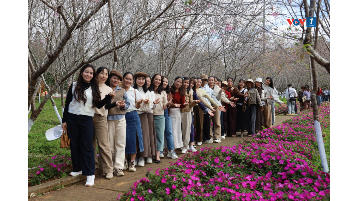 Du khách chụp hình tại Măng Đen.