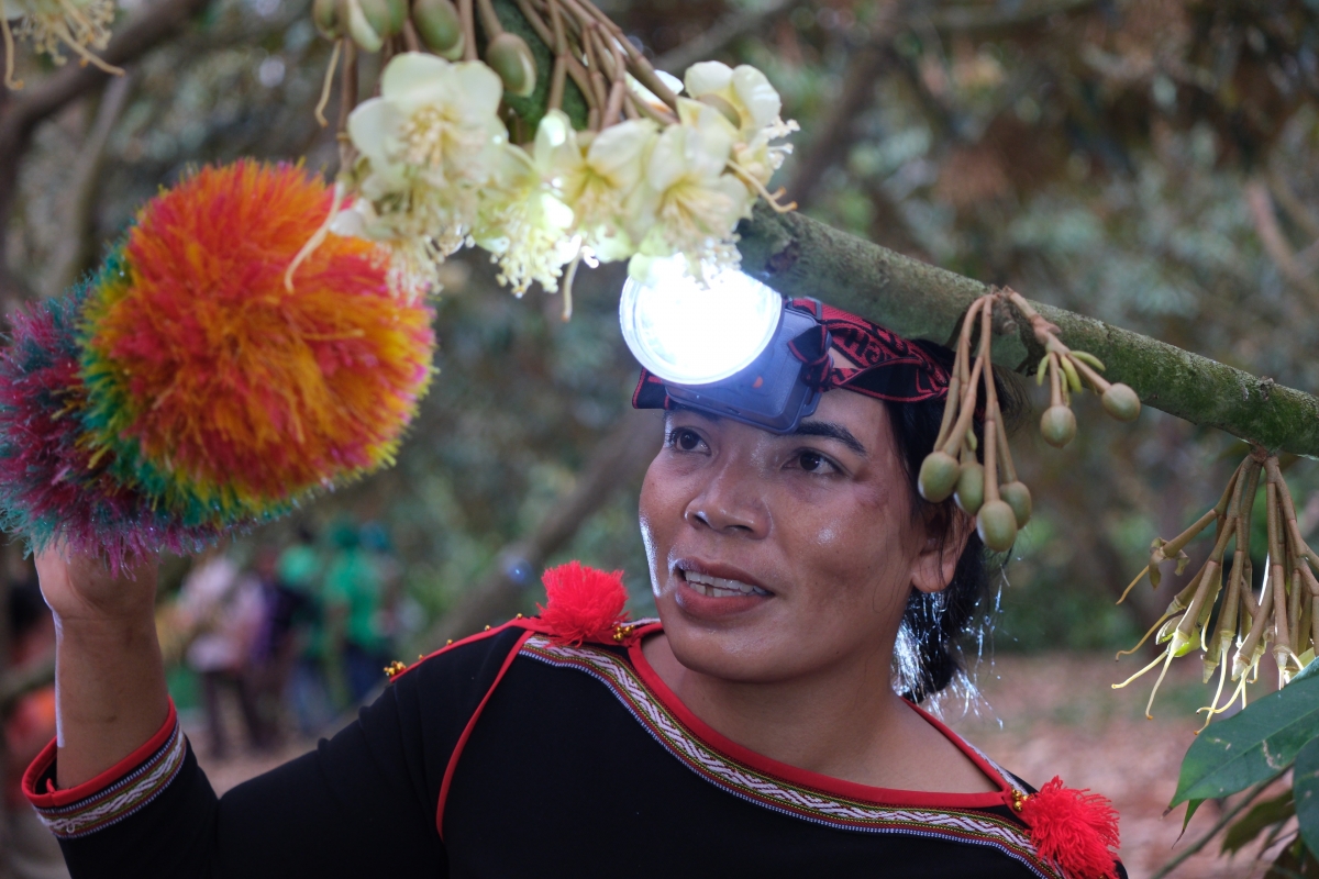 Trải nghiệm thực hiện quy trình “Thụ phấn hoa sầu riêng” 
 