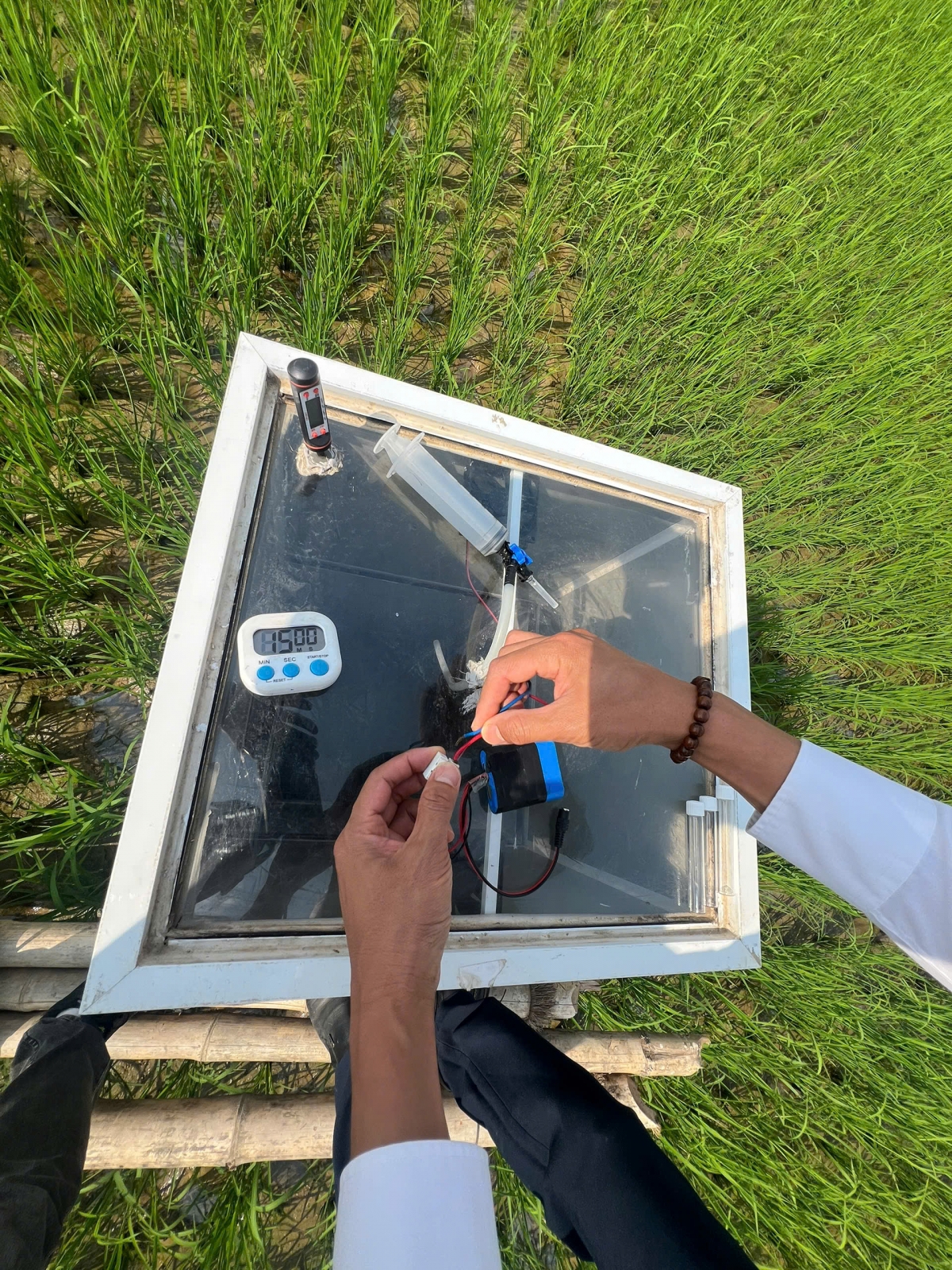 Máy đo tại mô hình trồng lúa giảm phát thải ở Hải Phòng