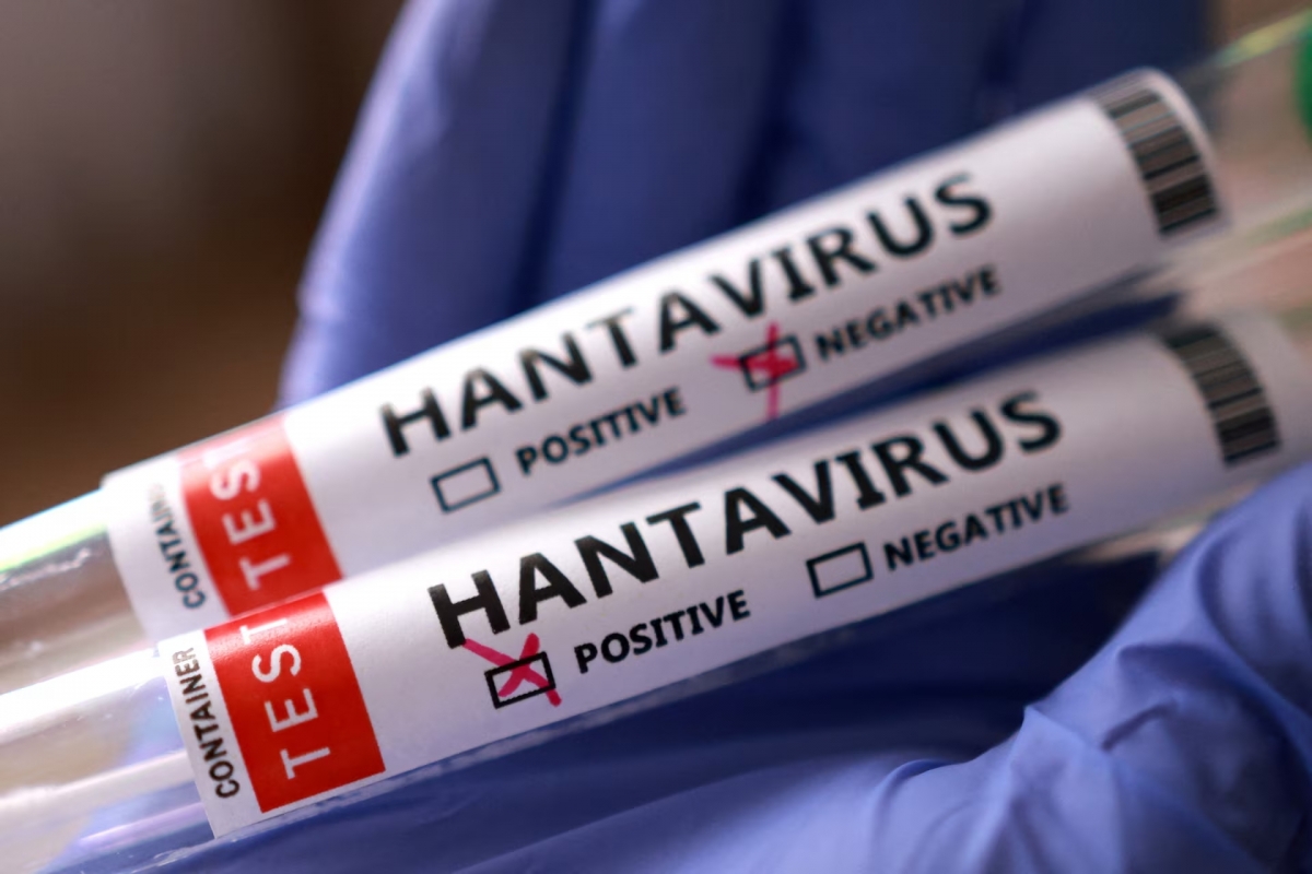 Các ca bệnh được xác định liên quan đến biến thể Andes của virus Hanta, một chủng hiếm gặp có khả năng lây truyền trực tiếp giữa người với người khi tiếp xúc gần - Ảnh: Reuters