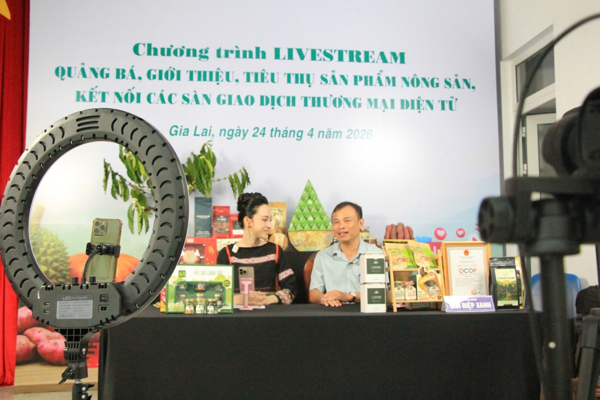 Ông Nguyễn Đình Kha- Phó Giám đốc Sở Công thương Gia Lai trong phiên Mega live tiêu thụ nông sản địa phương.