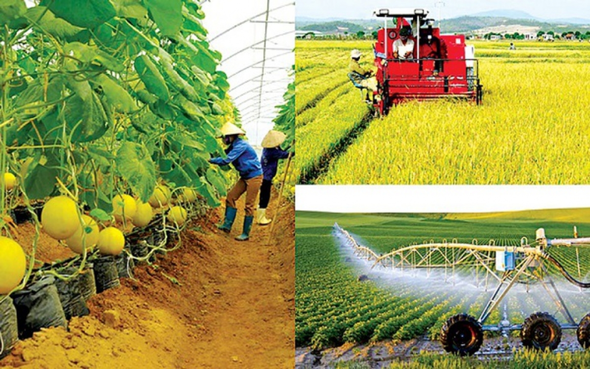 Hợp tác công tư trong phát triển nông nghiệp bền vững; sử dụng thuốc bảo vệ thực vật có trách nhiệm ( Ảnh minh họa: KT)