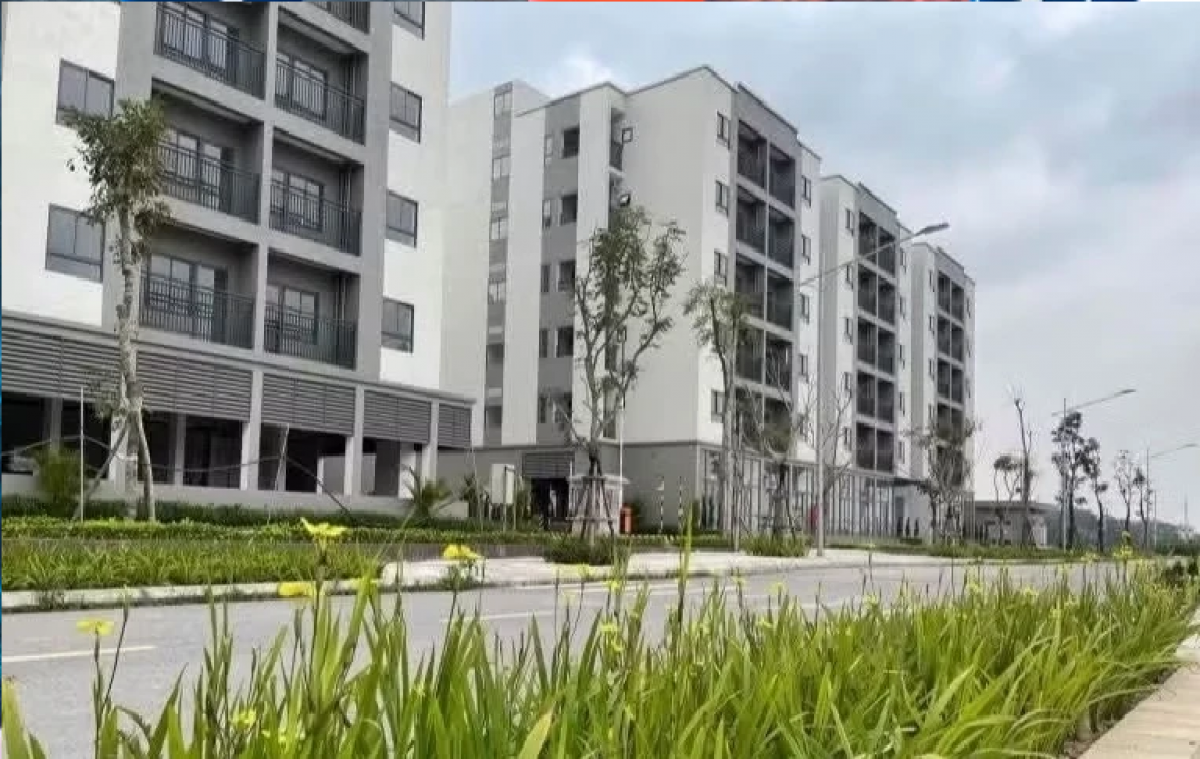 Gần 180 căn nhà ở xã hội tại xã Quang Minh (Hà Nội) nhận hồ sơ đăng ký mua từ cuối tháng 6 với giá 14,5 triệu đồng/m2.