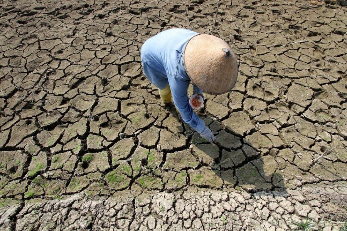 Hiện tượng Elnino ảnh hưởng đến sản xuất nông nghiệp