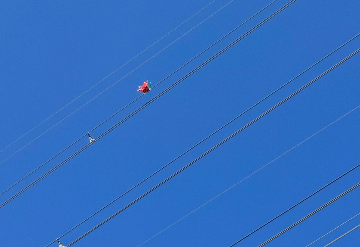 Hình ảnh diều vướng vào đường dây 220kV 273 Vĩnh Tân - 273 Phan Rí