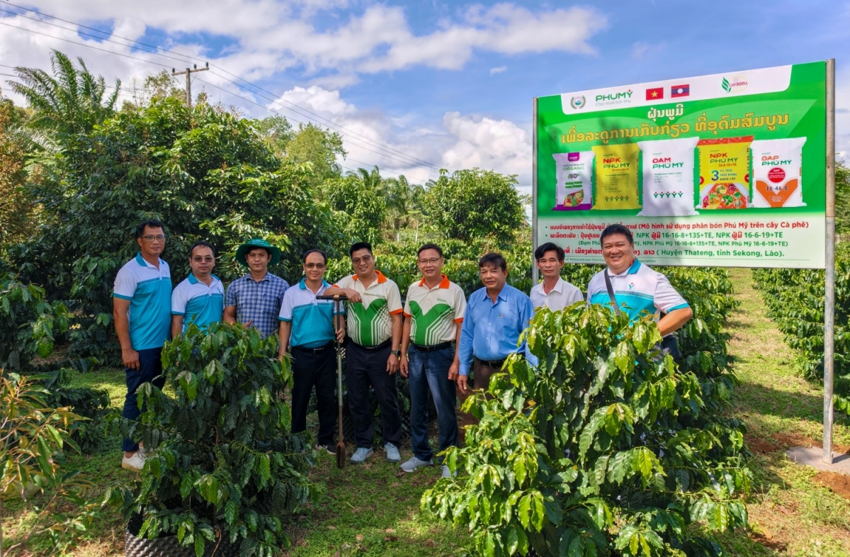 Mô hình liên kết “4 nhà” giữa doanh nghiệp, nhà khoa học, đơn vị kinh doanh và nhà nông đang được Phú Mỹ triển khai hiệu quả tại Lào, góp phần đưa tiến bộ kỹ thuật vào thực tiễn sản xuất nông nghiệp.
 