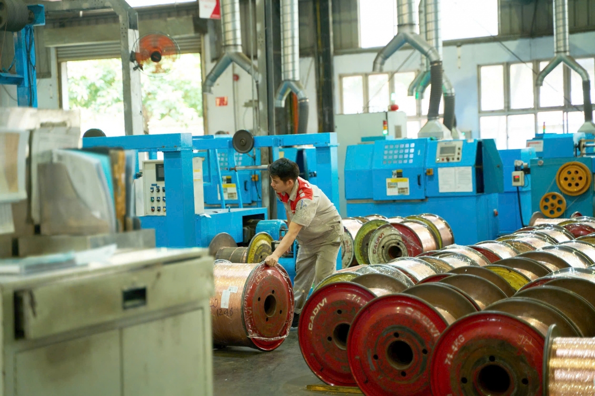 Sản phẩm của Công ty cổ phần Dây cáp điện Việt Nam phân phối sản phẩm tại hơn 14 quốc gia