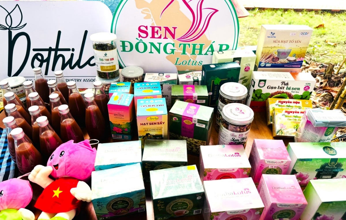 Sản phẩm chế biến từ sen của Đồng Tháp