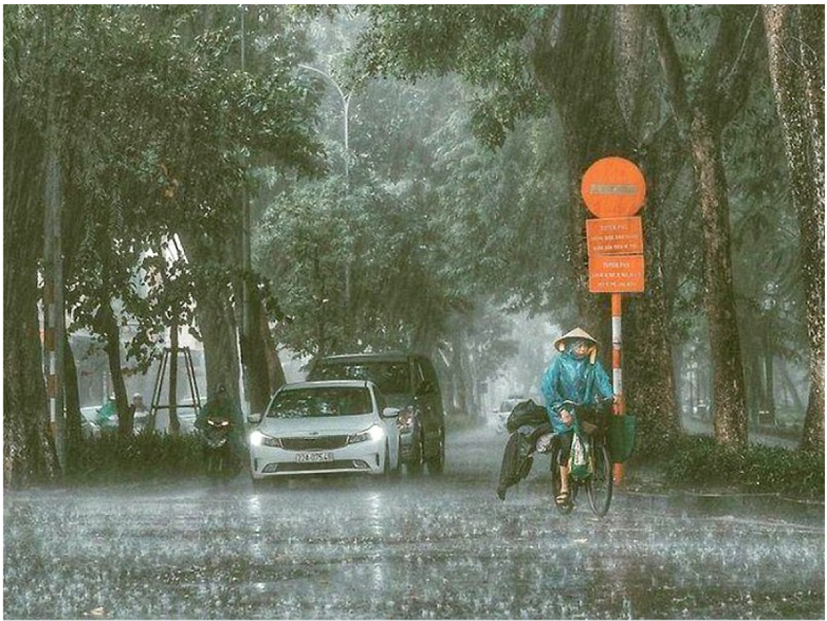 Mưa lớn ở nhiều vùng trên cả nước