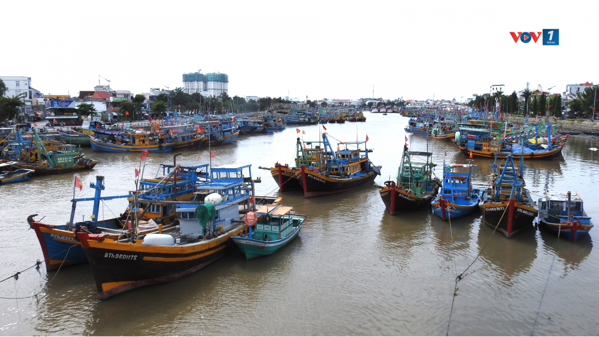 Tàu cá neo đậu trên sông Cà Ty, đoạn cửa biển Phan Thiết, phường Phan Thiết, tỉnh Lâm Đồng.