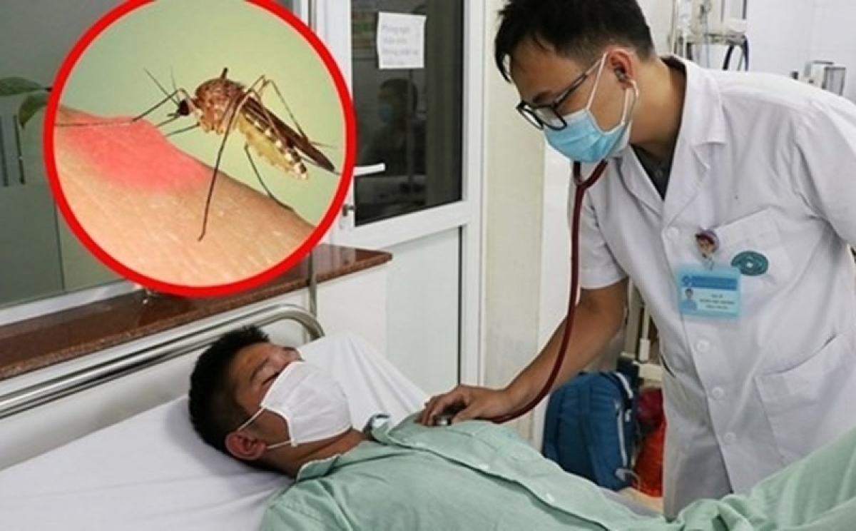 Dịch sốt xuất huyết tăng