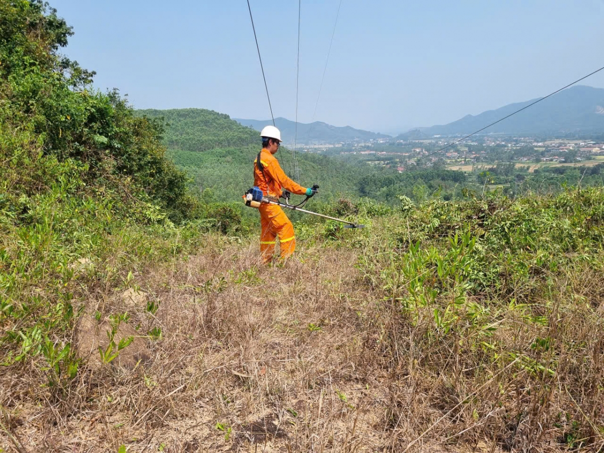 Tổ Quản lý vận hành đường dây Quy Nhơn phát quang chống cháy đường dây 220kV Quy Nhơn - Tuy Hòa
 (ảnh Hoàng Việt)
​​
