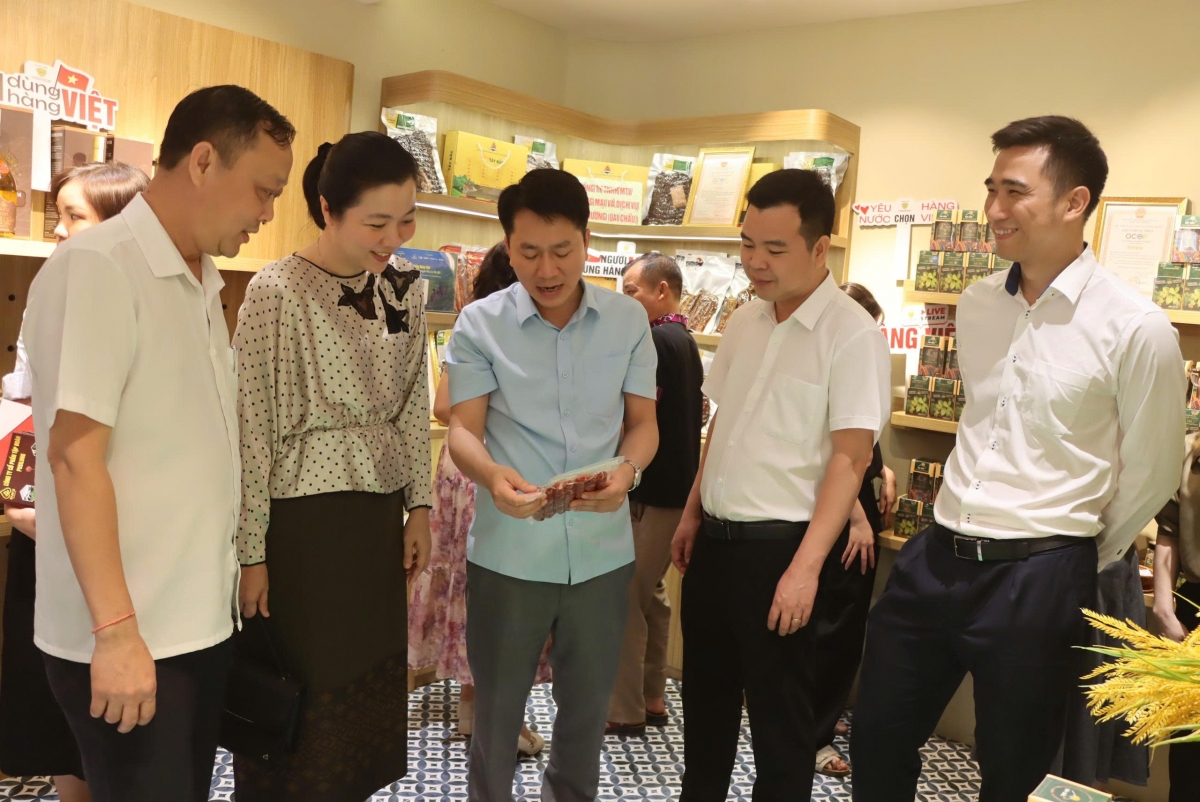 Việc kết hợp giữa không gian trải nghiệm trực tiếp với livestream bán hàng trên nền tảng số giúp mở rộng khả năng tiếp cận khách hàng