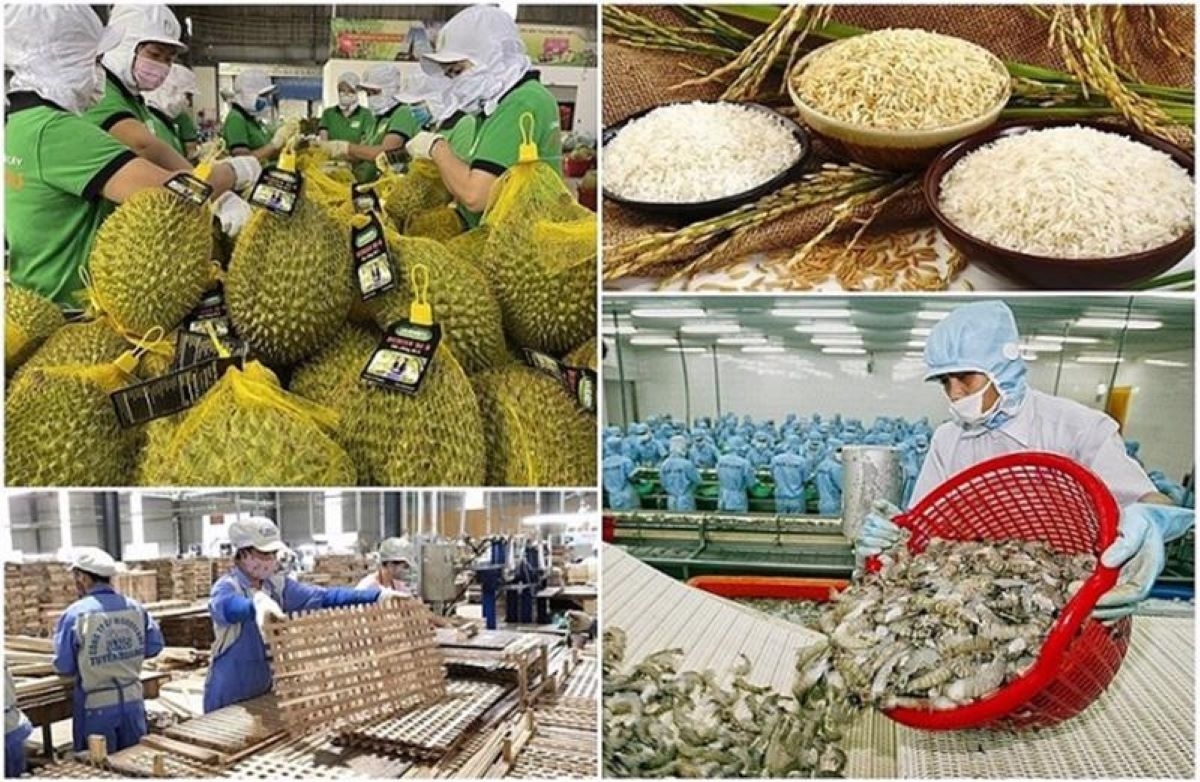 Doanh nghiệp linh hoạt thích ứng với thay đổi của thị trường (Ảnh kt: minh họa)