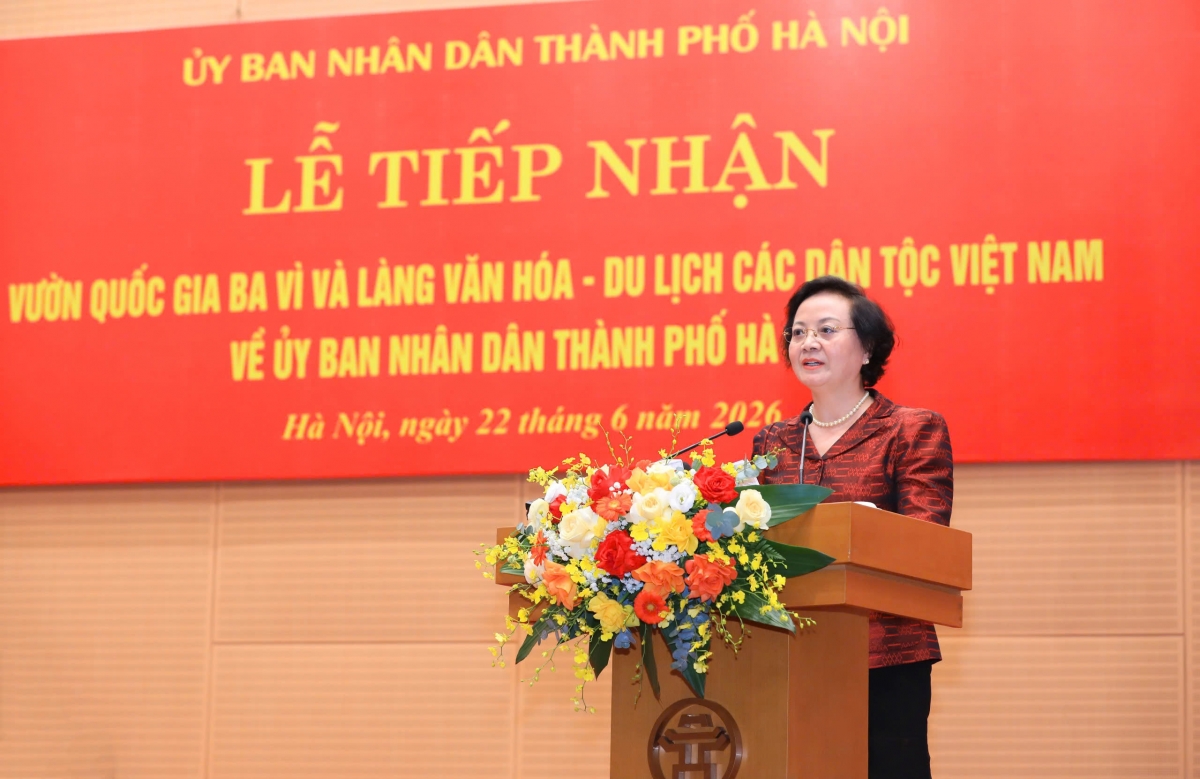 Phó Thủ tướng Phạm Thị Thanh Trà phát biểu chỉ đạo