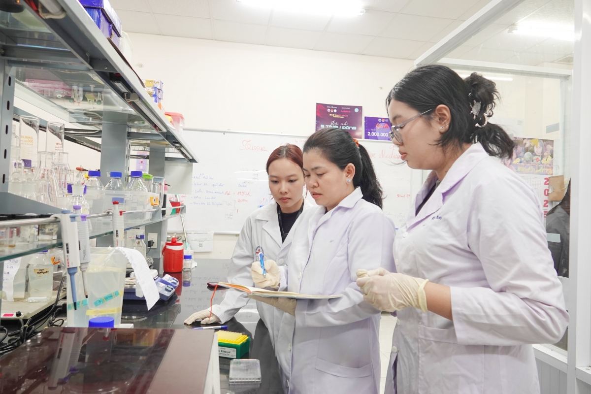 Giảng viên cùng sinh viên nghiên cứu khoa học trong các viện, trường