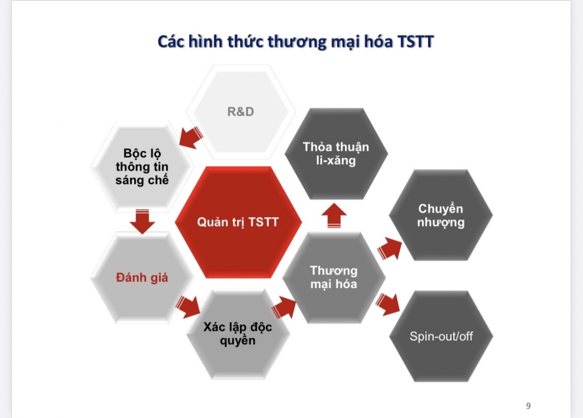 TS. Nguyễn Hữu Cẩn tổng hợp các hình thức thương mại hóa tài sản trí tuệ hiện nay