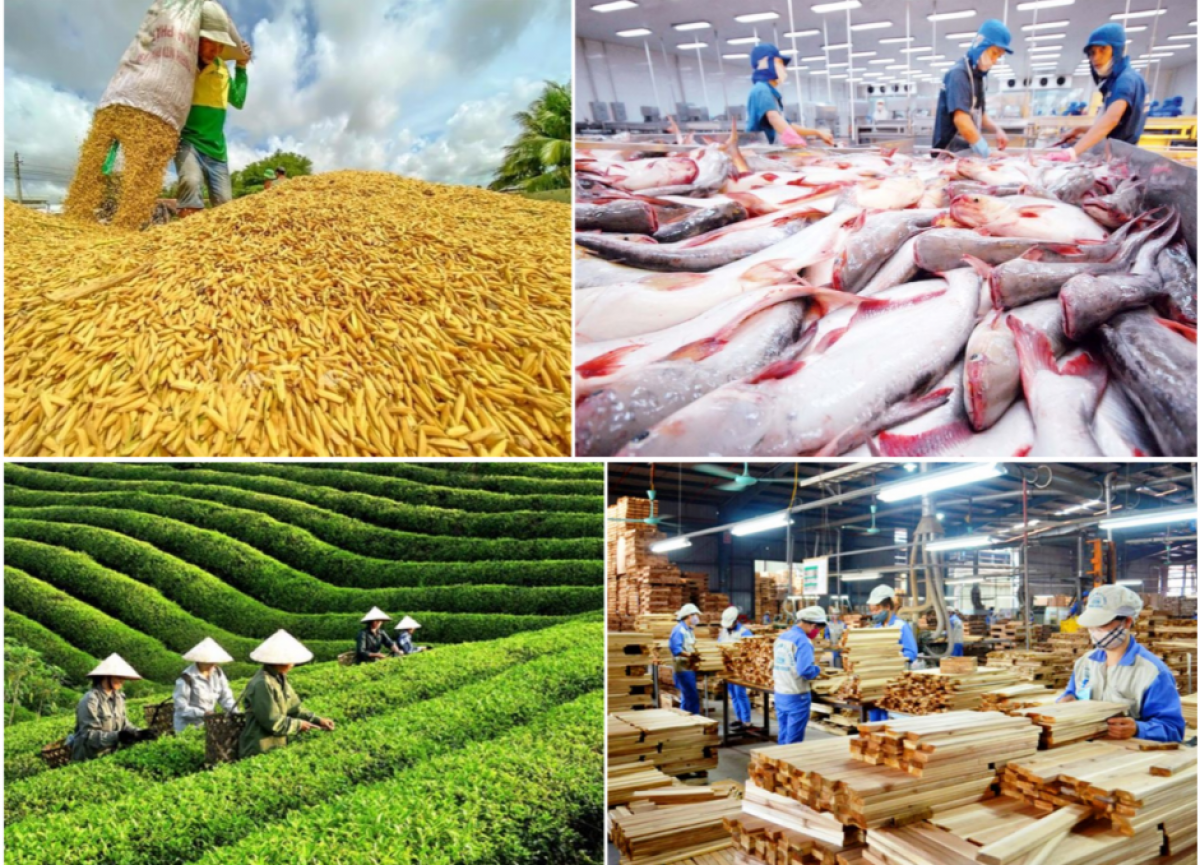 Xuất khẩu nông lâm thủy sản vượt 30 tỷ USD trong 5 tháng đầu năm 2026.