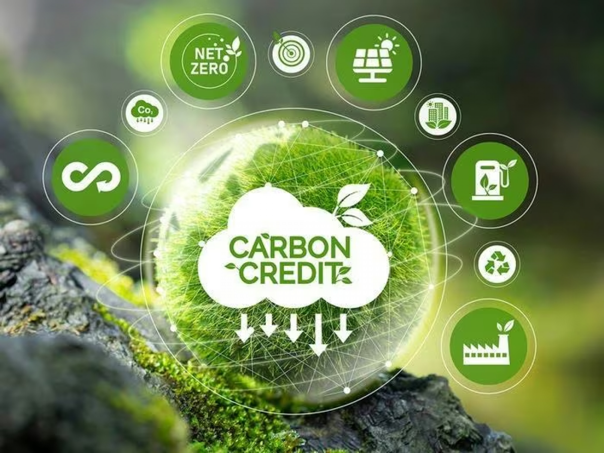 Phát triển thị trường carbon sẽ góp phần thực hiện mục tiêu giảm phát thải khí nhà kính.