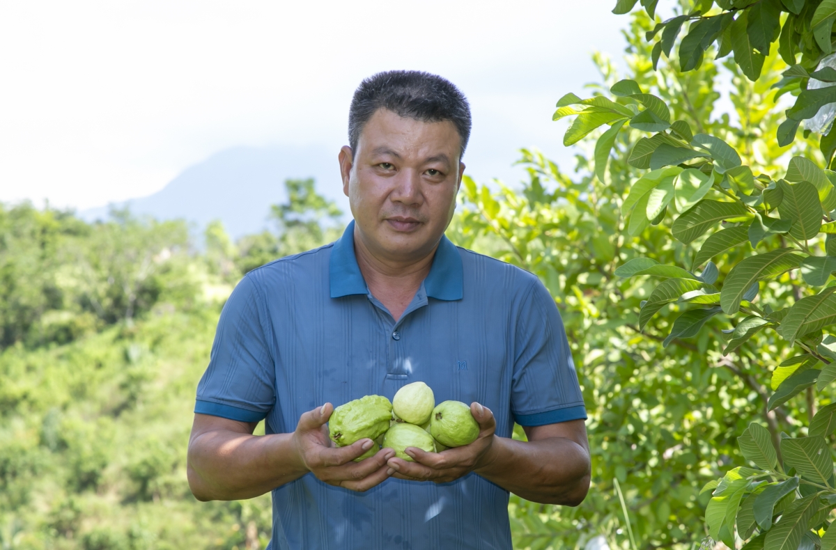 Ông Nguyễn Minh Thành, chủ trang trại Sản Việt, tỉnh Khánh Hoà theo đuổi nông nghiệp tuần hoàn, hữu cơ
(Nguồn: Báo Khánh Hoà)