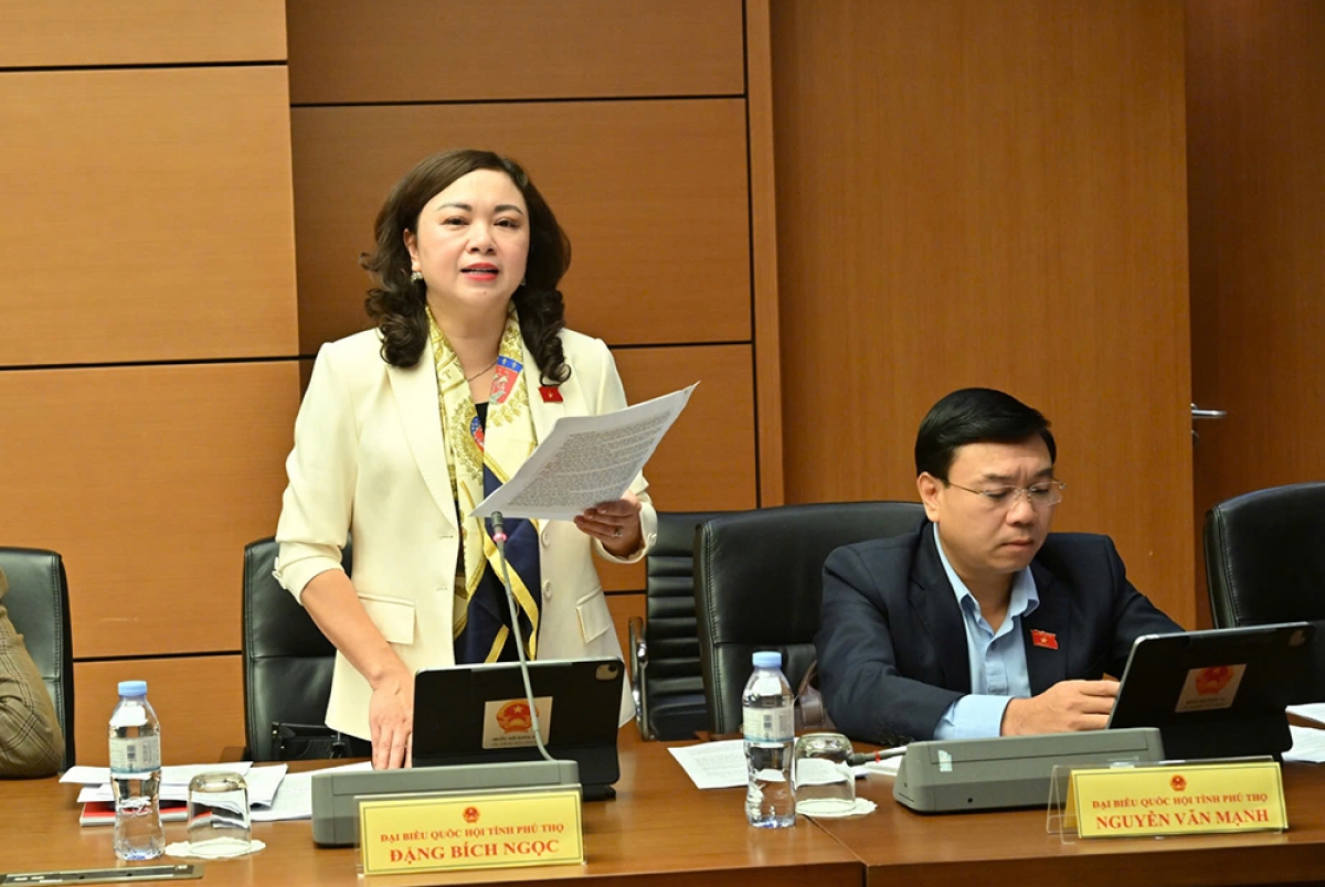 Bà Đặng Bích Ngọc, Phó Trưởng đoàn Đại biểu Quốc hội tỉnh Phú Thọ