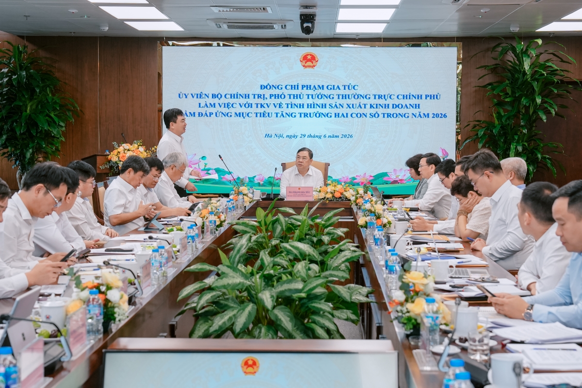 Ông Ngô Hoàng Ngân – Bí thư Đảng ủy, Chủ tịch HĐTV Tập đoàn phát biểu tại buổi làm việc