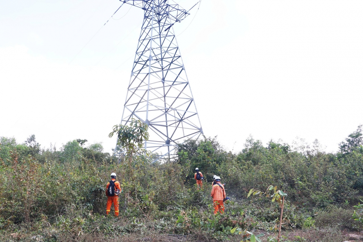 Tổ quản lý vận hành đường dây Quy Nhơn, Truyền tải điện Gia Lai (PTC3) phát quang chống cháy đường dây 220kV Tuy Hòa - Quy Nhơn
