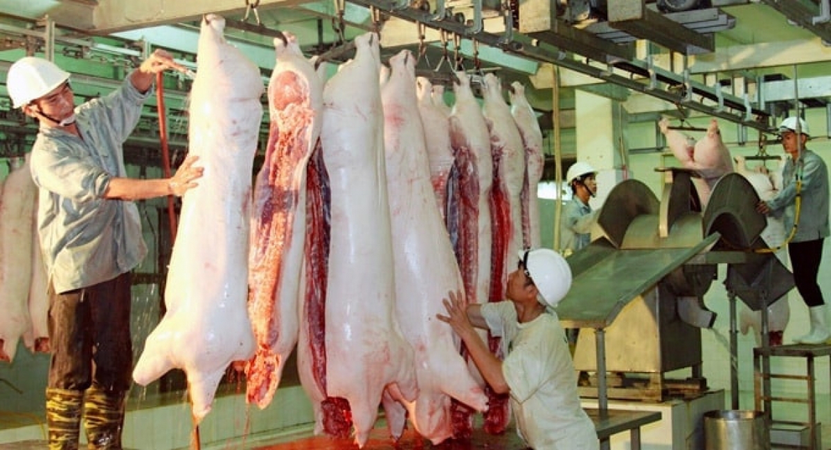 Hà Nội, hoạt động giết mổ gia súc, gia cầm tập trung đi vào nền nếp sẽ bảo đảm nguồn cung thực phẩm an toàn.