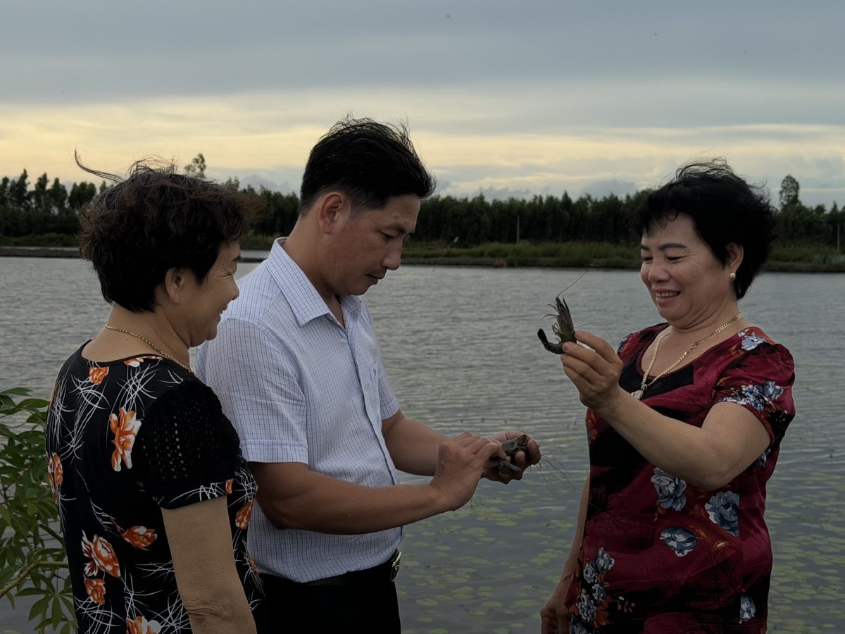 Nông dân Lương Tâm phấn khởi khi thu hoạch đợt tôm đầu cho thu nhập cao.