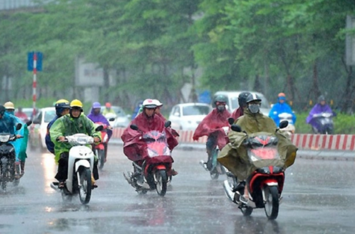 Ảnh minh hoạ internet