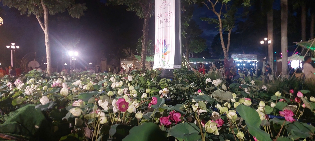 Tiểu cảnh không gian hồ sen được dàn dựng chào đón du khách từ cổng vào Lễ hội.