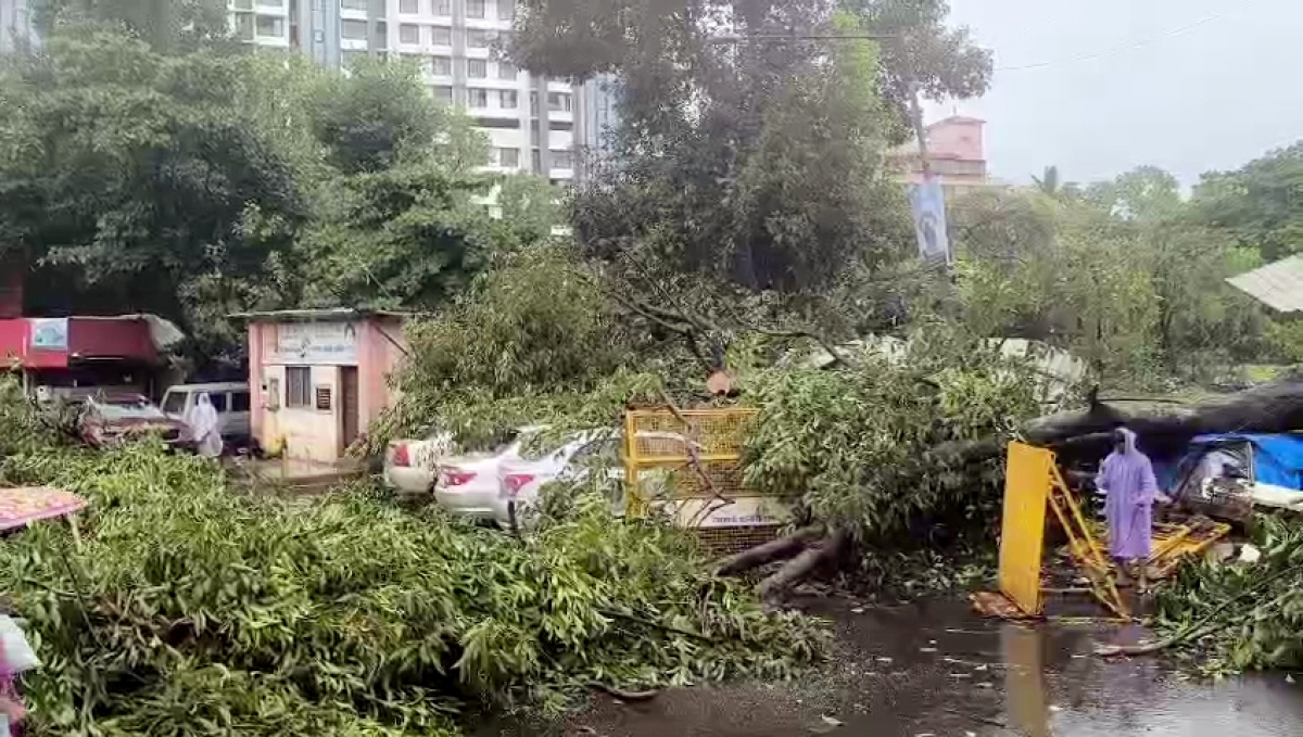Mưa lớn, kèm gió mạnh gây thiệt hại cho thành phố Mumbai, Ấn Độ. Ảnh: ANI